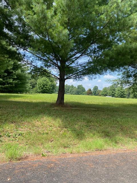 112 Parks Ridge Subdivision Property Photo 3