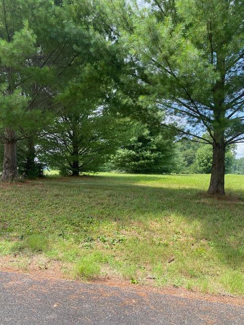 112 Parks Ridge Subdivision Property Photo 4