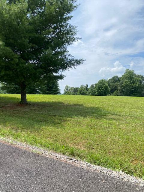 112 Parks Ridge Subdivision Property Photo 5