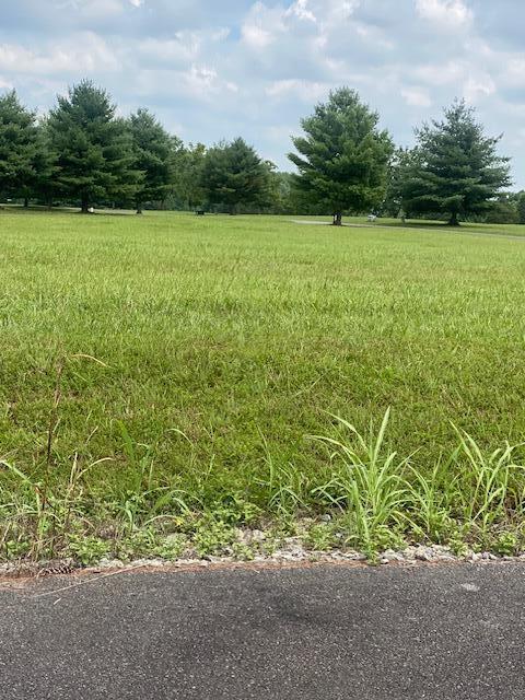 111 Parks Ridge Subdivision Property Photo 2