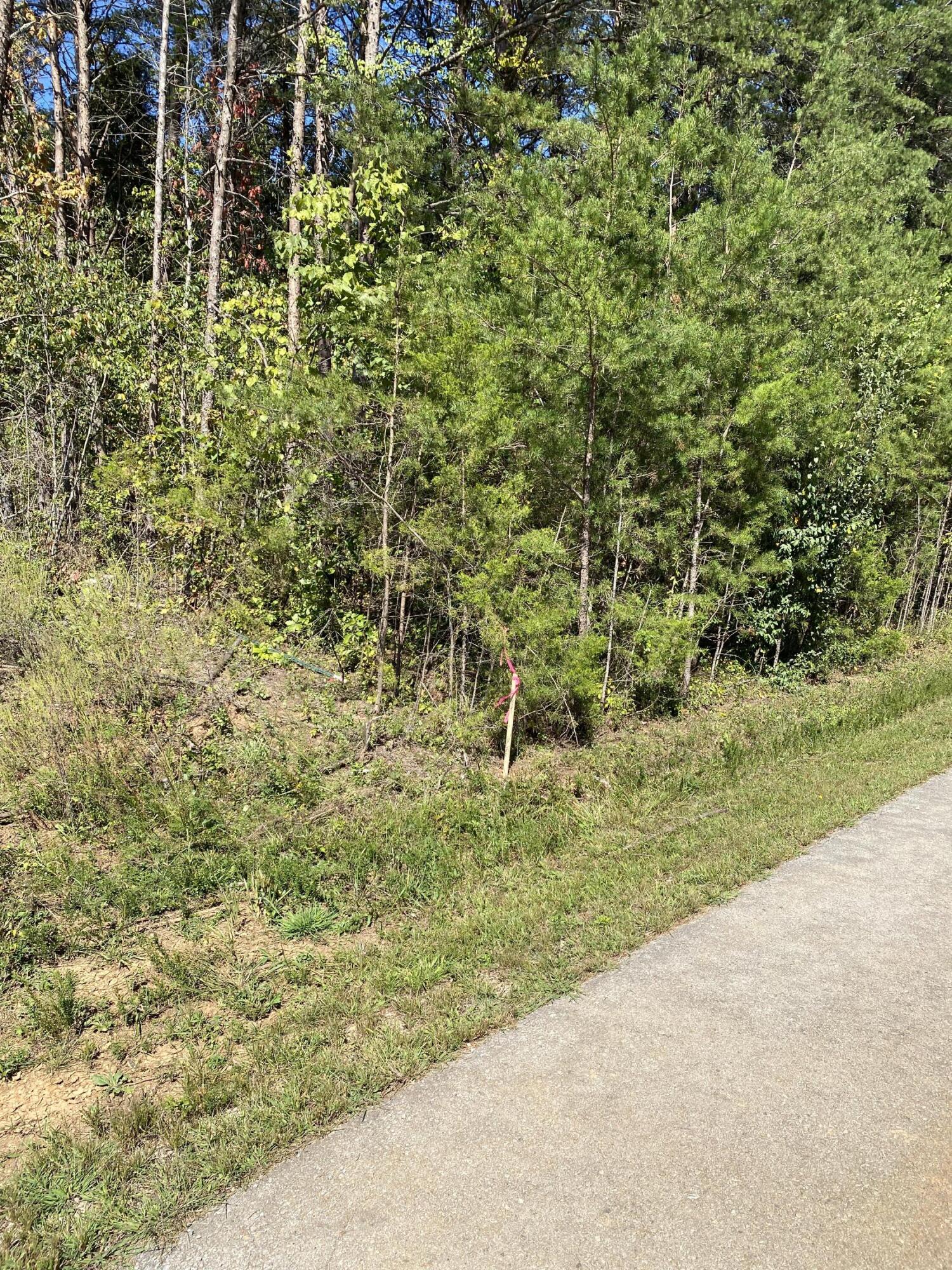 20c Lake Forest Reserve Drive Property Photo 2