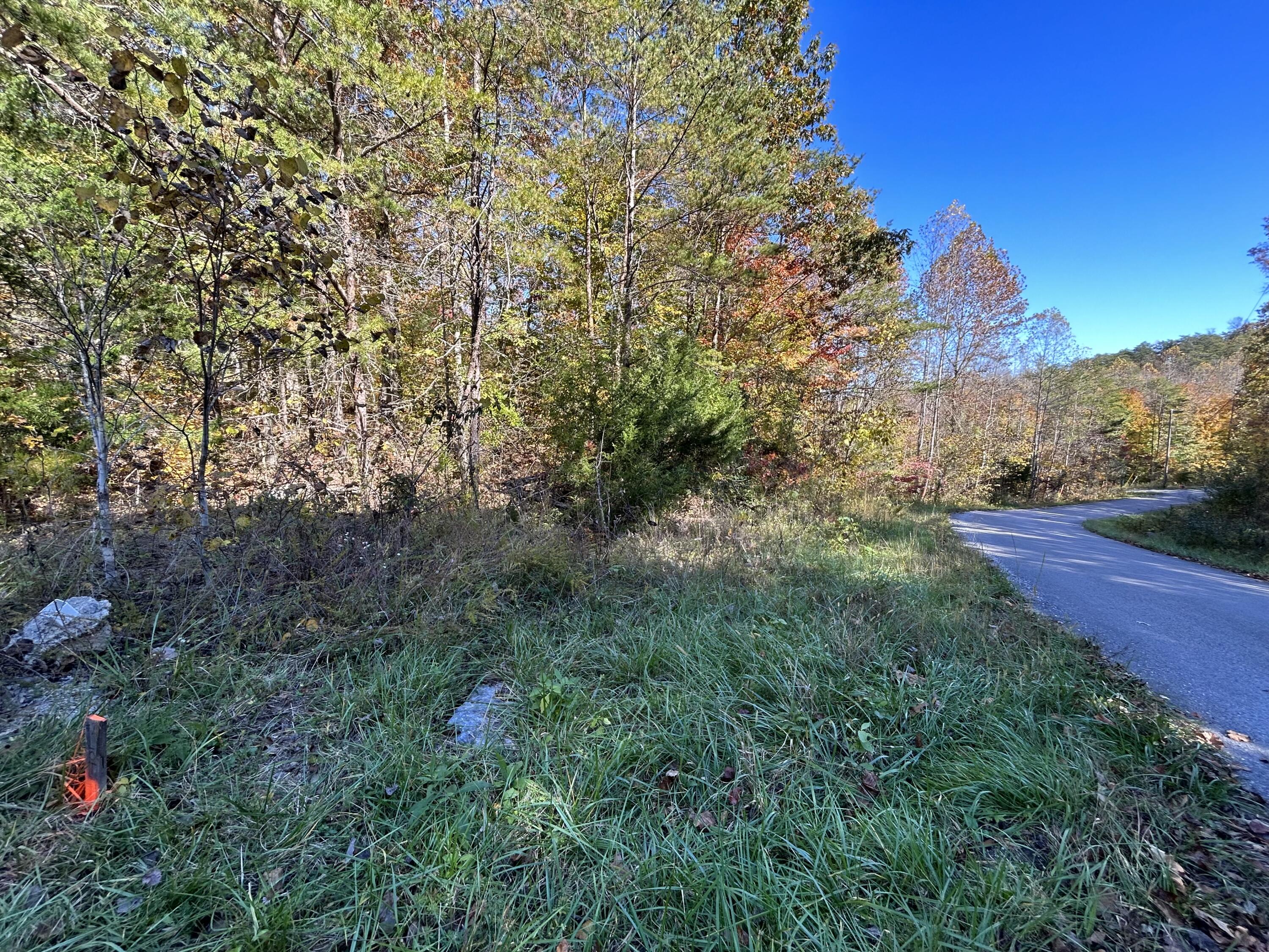 Lot# 1 Buck Creek Circle Property Photo 1
