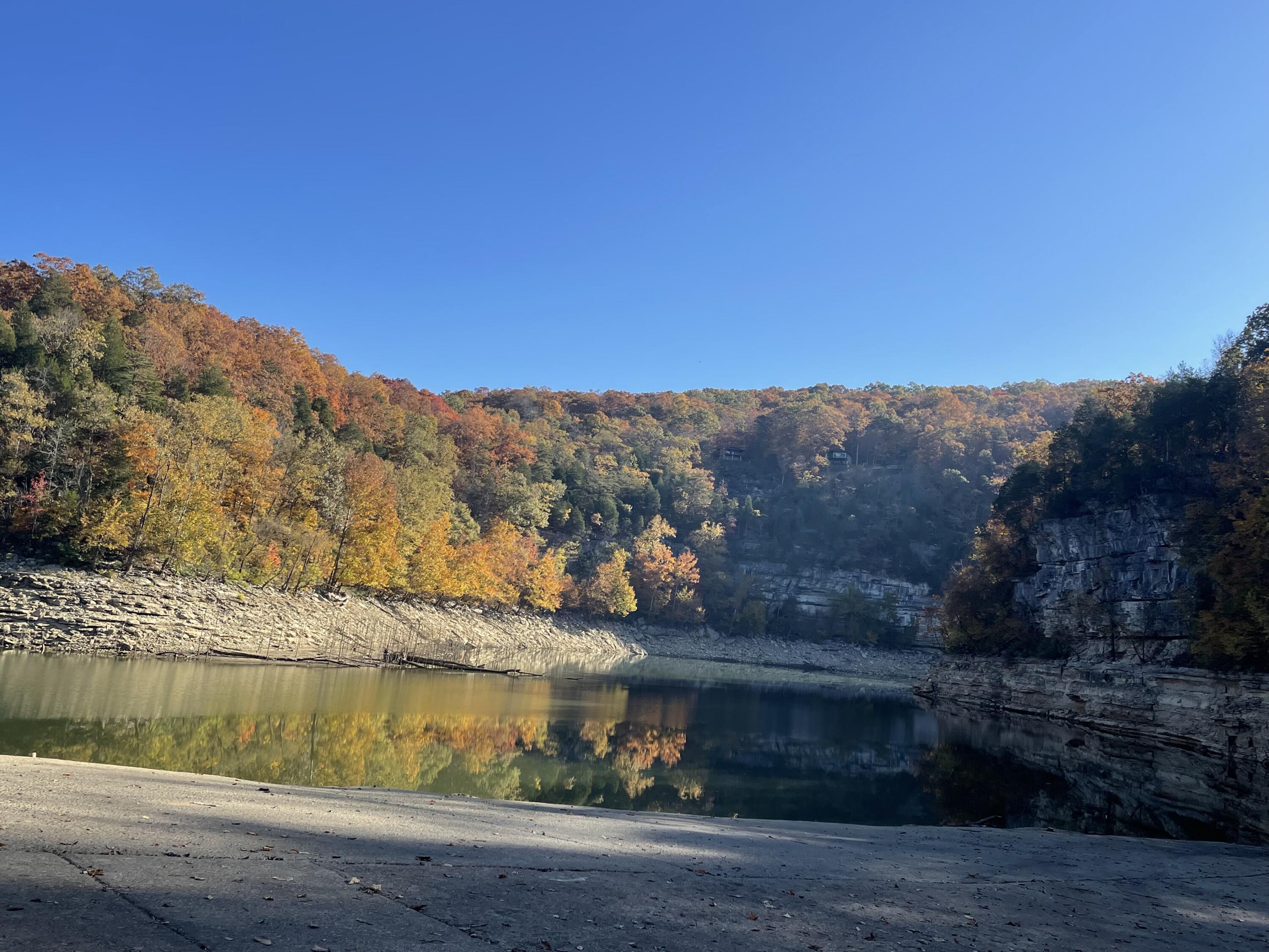 Lot #4 Buck Creek Circle Property Photo 1