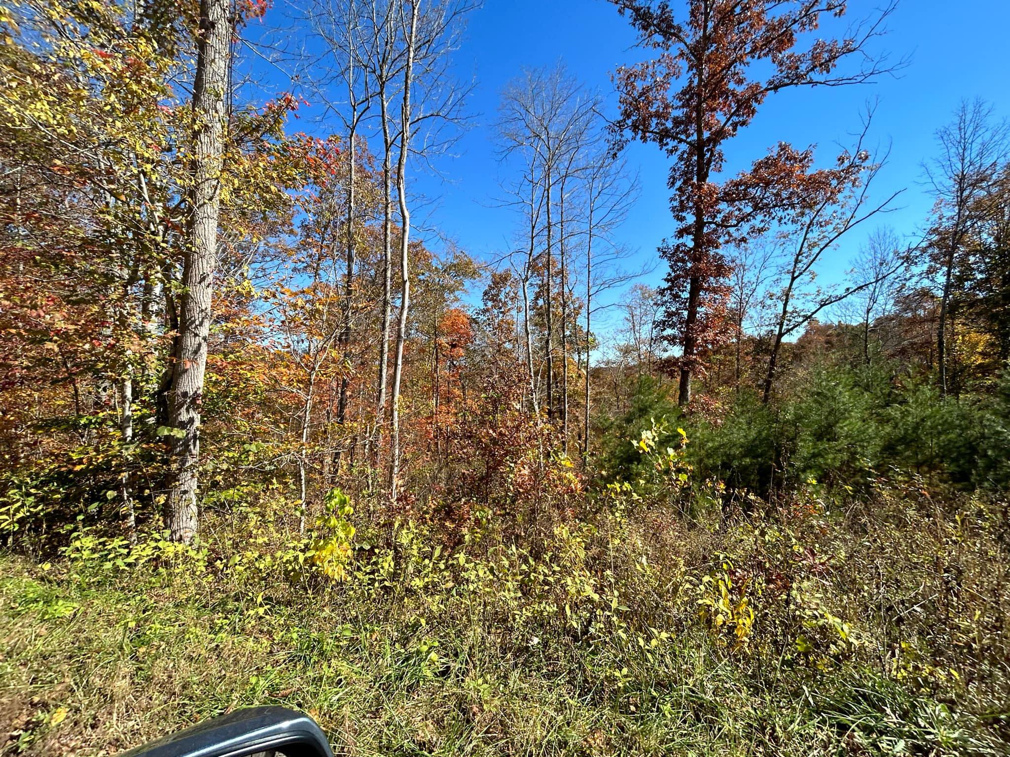 Lot # 7 Buck Creek Circle Property Photo 1