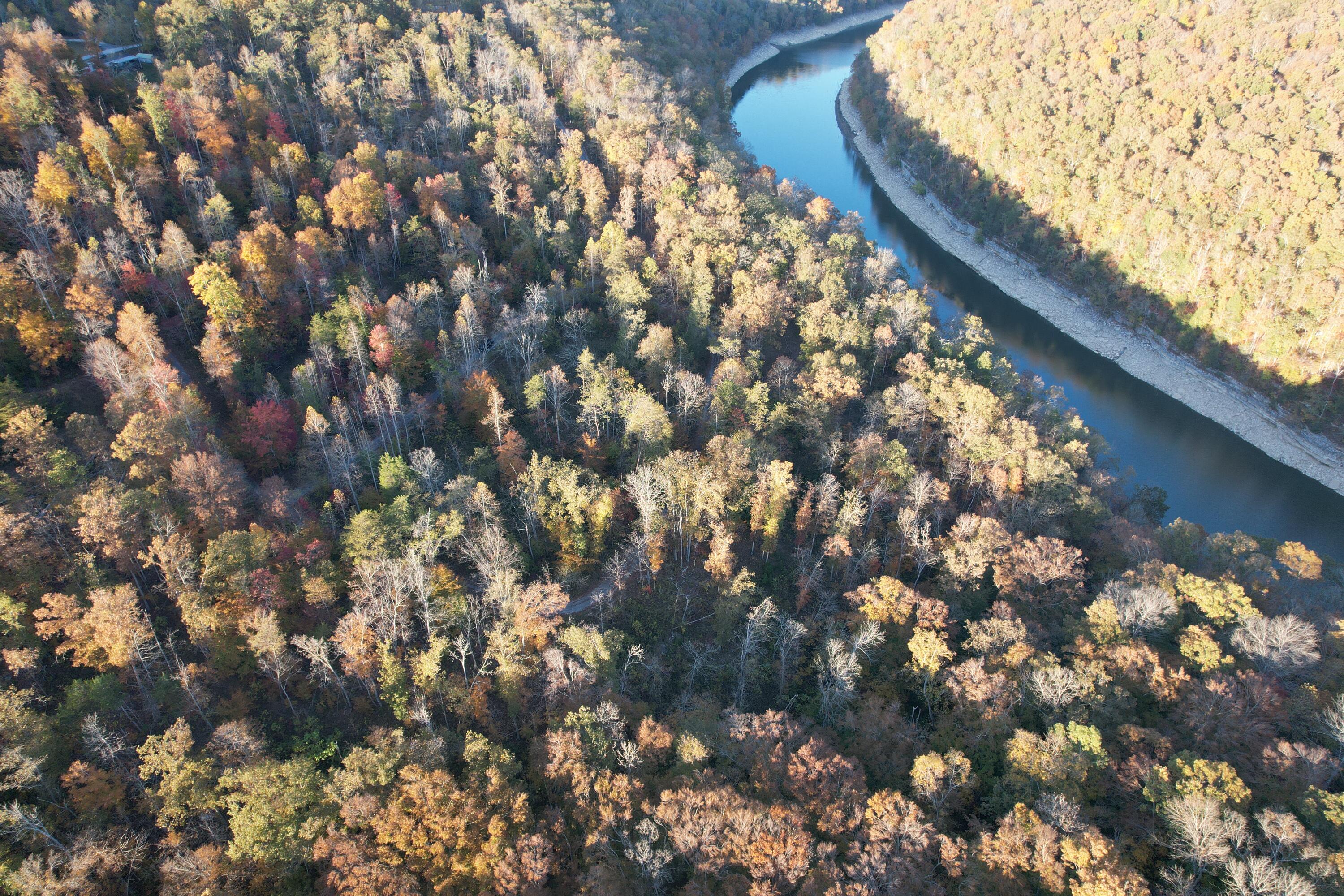 Lot #6 Buck Creek Circle Property Photo 1