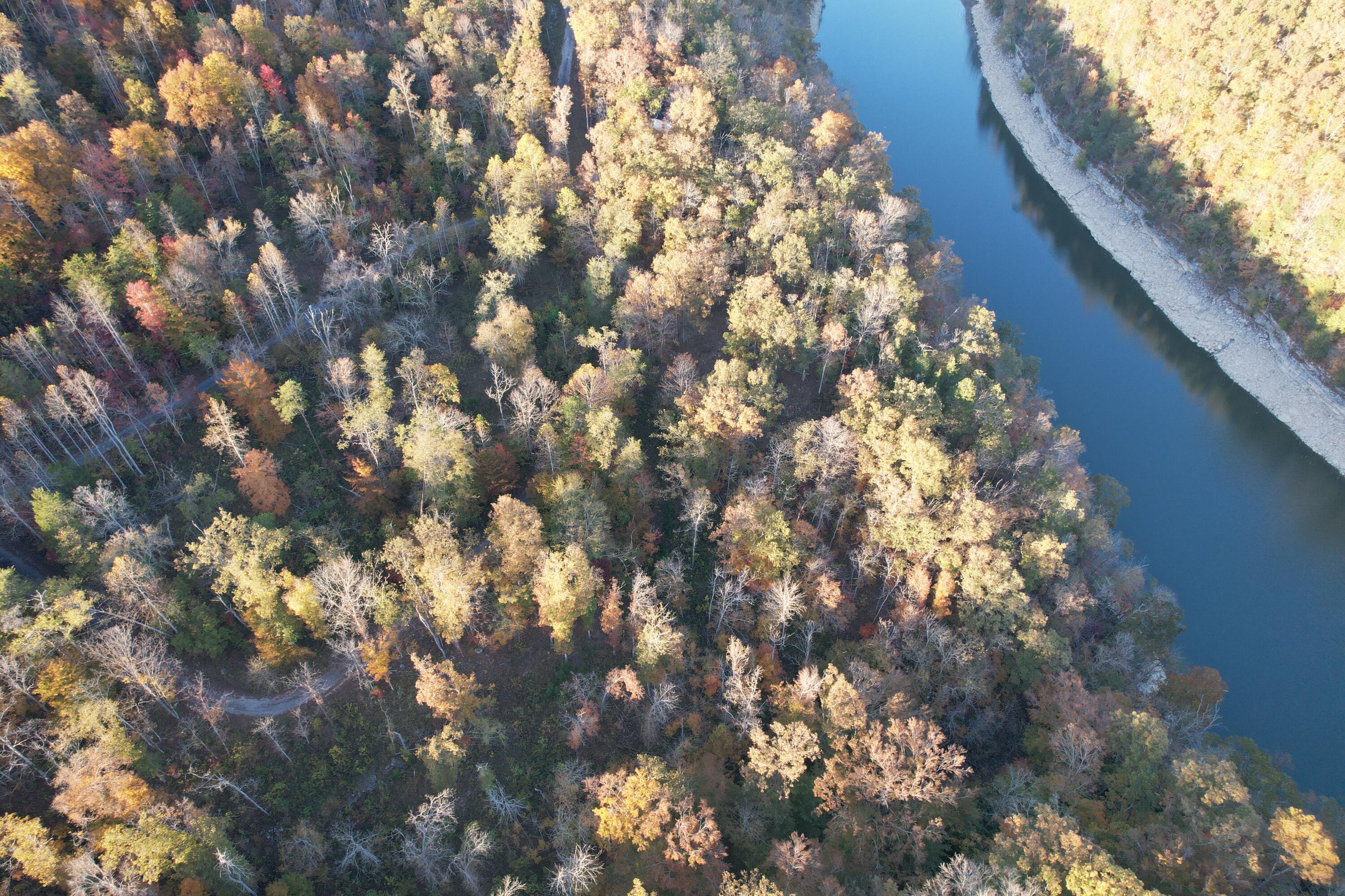 Lot #25 Buck Creek Circle Property Photo 1