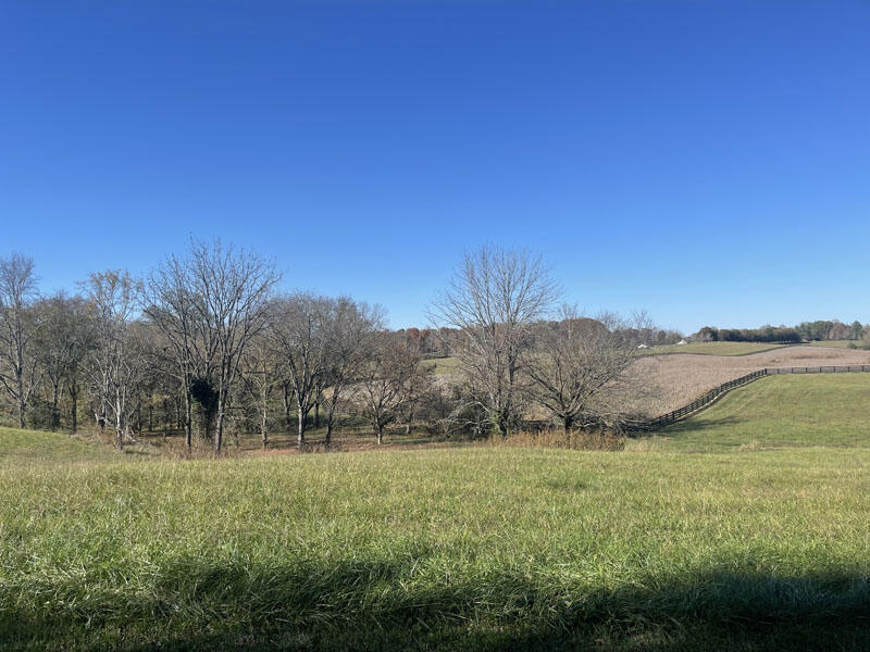 Lot 86 Edgewater Property Photo 2