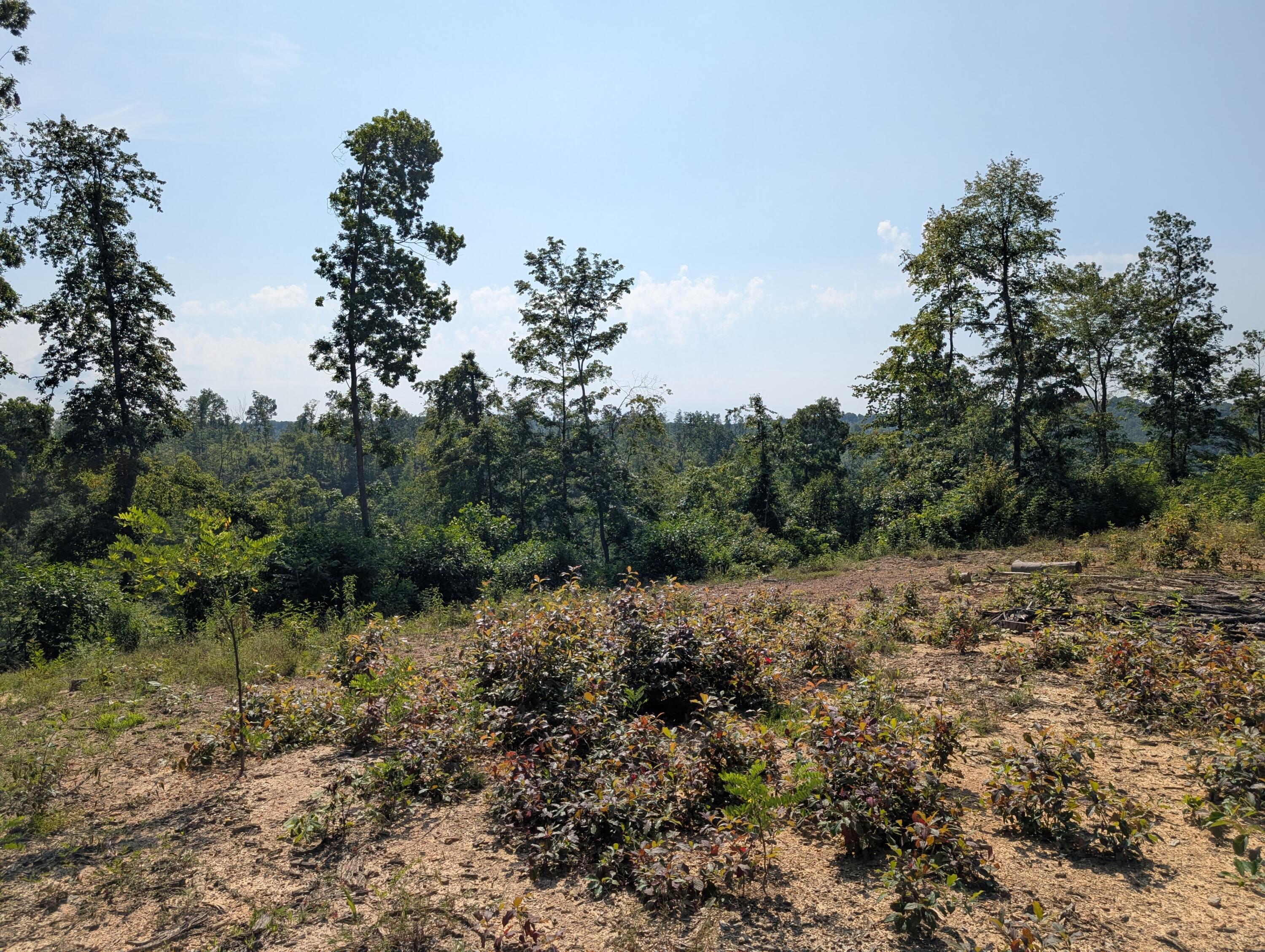 0 New Hope Tower Road Property Photo 1