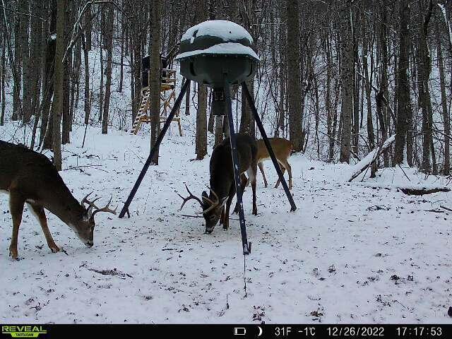 0 Aa Hwy Property Photo 4