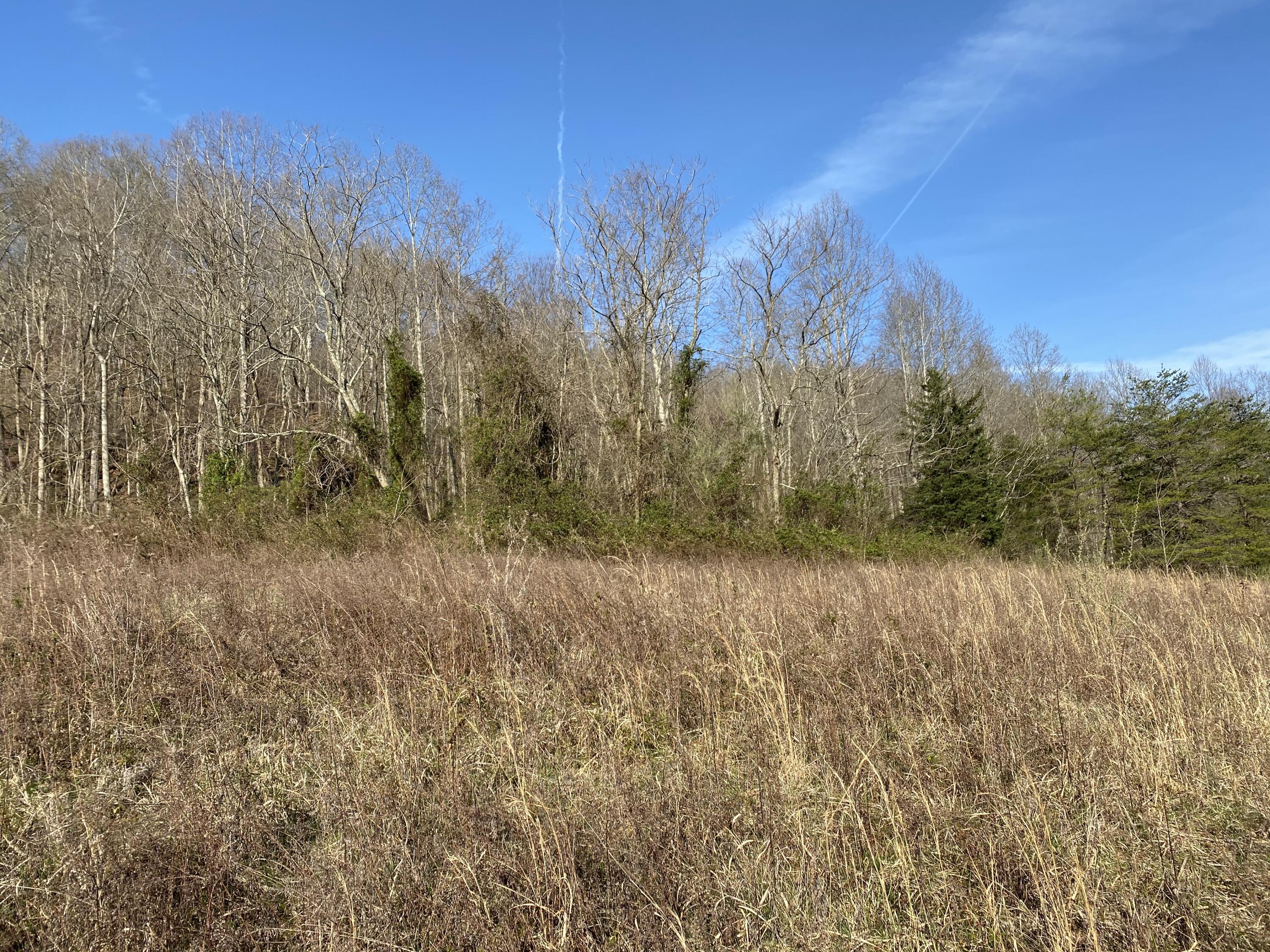 0 Aa Hwy Property Photo 6