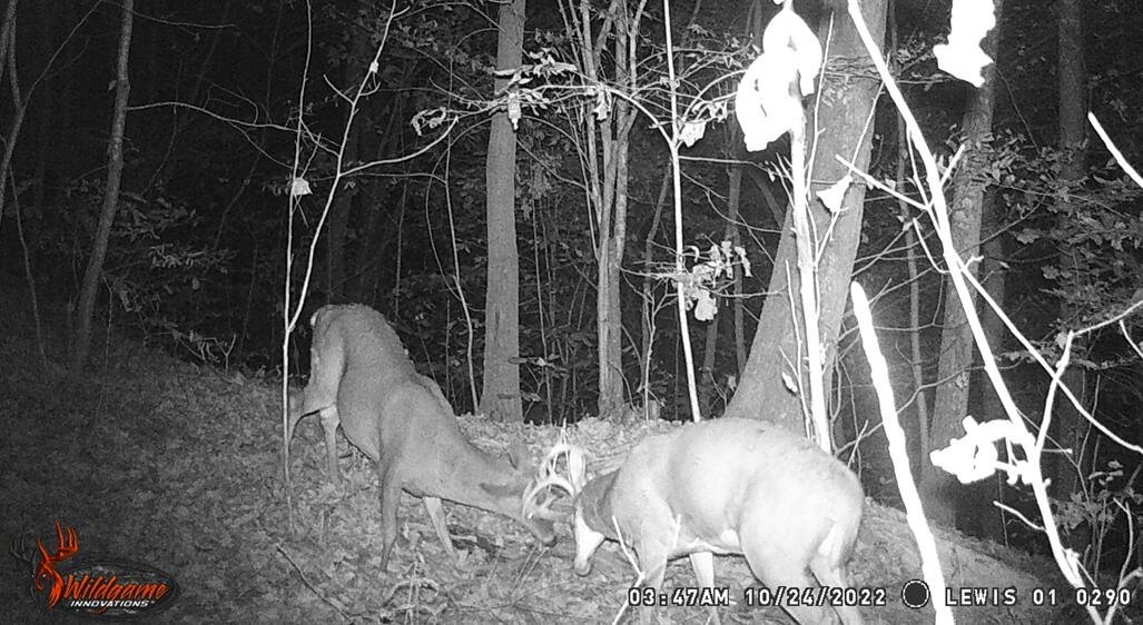 0 Aa Hwy Property Photo 10