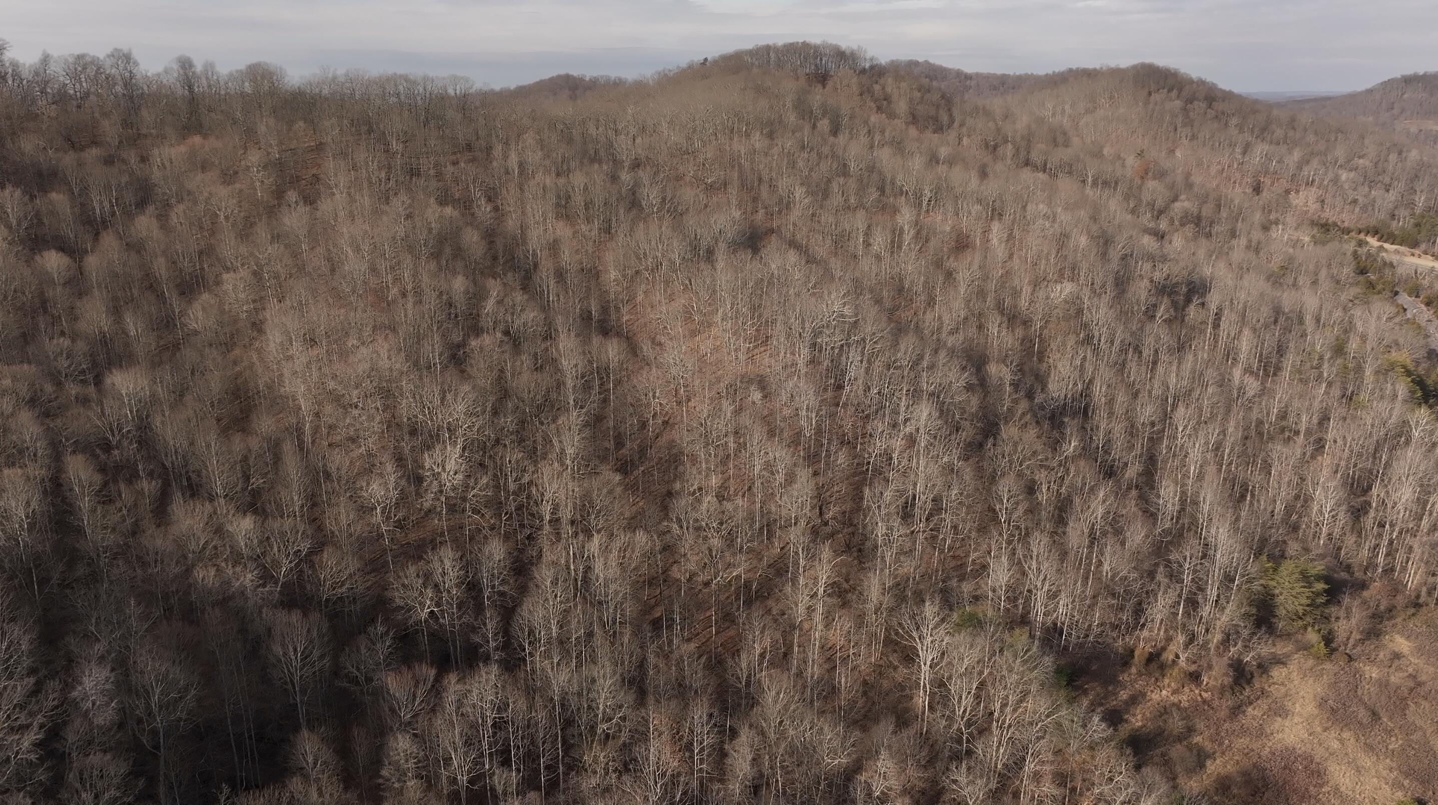 0 Aa Hwy Property Photo 35