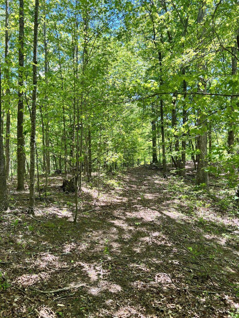 9999 Proffitt Road Property Photo 2