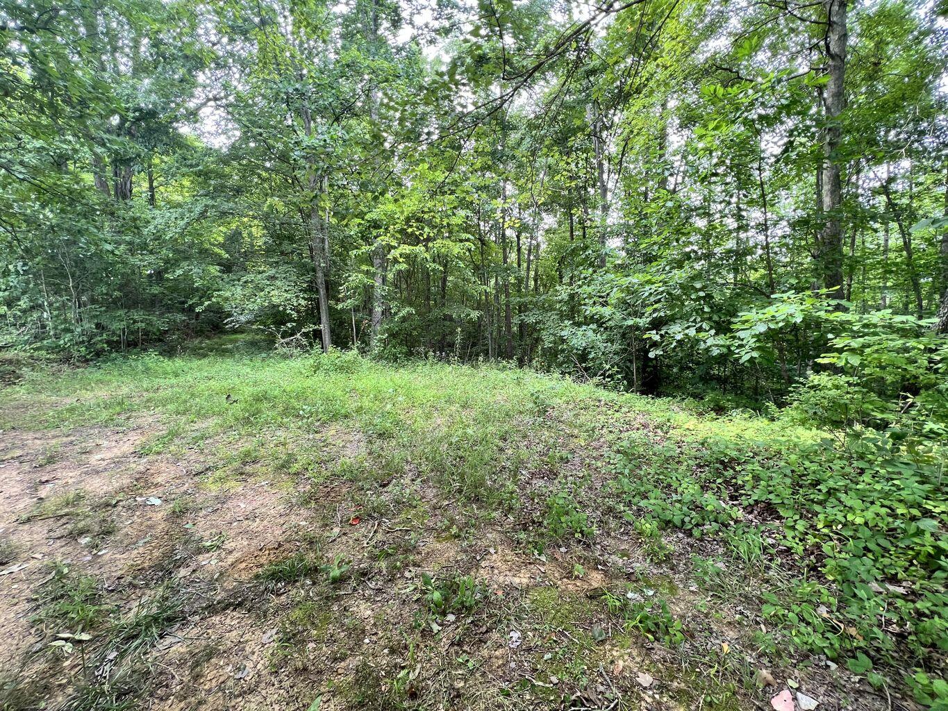 9999 Proffitt Road Property Photo 5