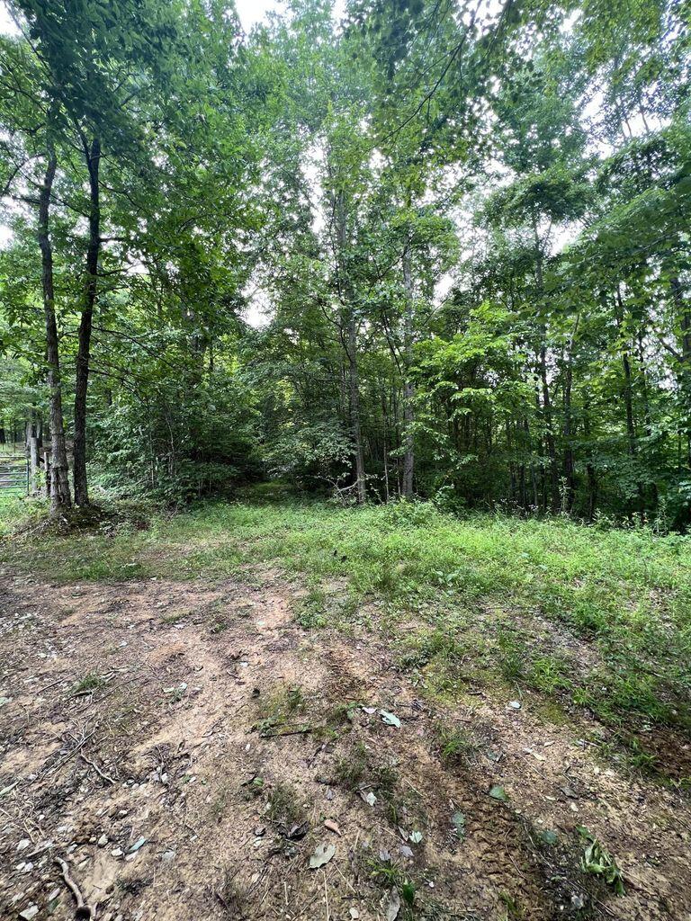 9999 Proffitt Road Property Photo 6