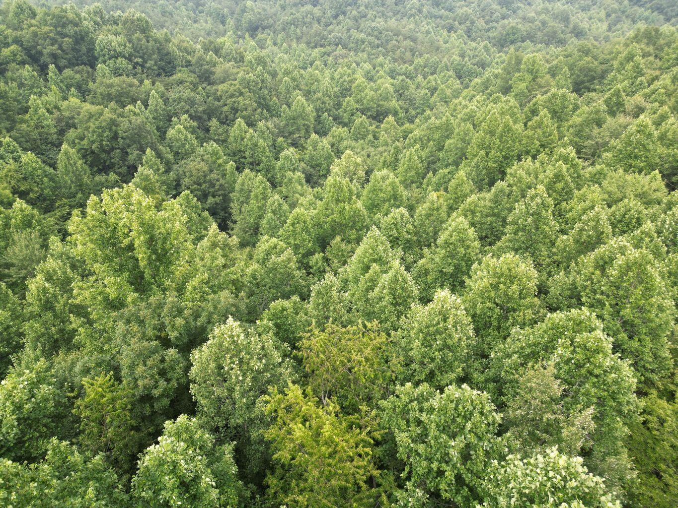 9999 Proffitt Road Property Photo 10
