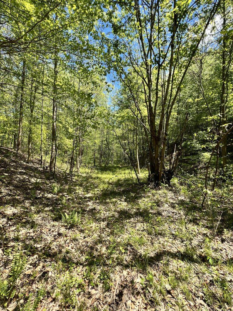 9999 Proffitt Road Property Photo 15
