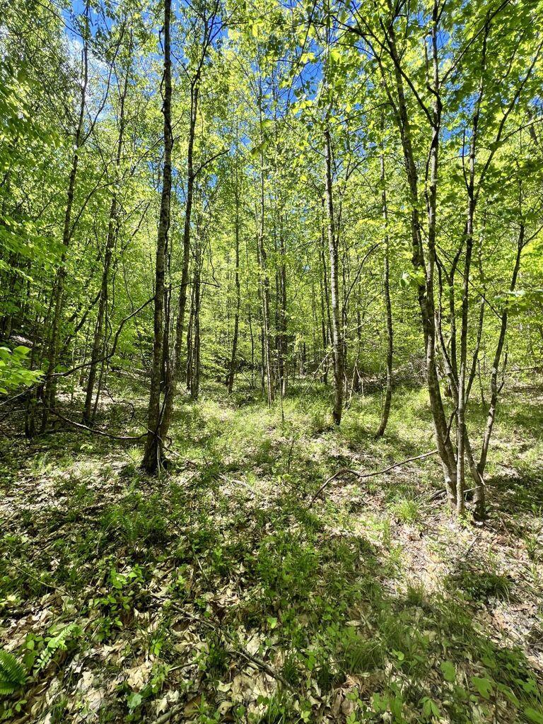 9999 Proffitt Road Property Photo 16