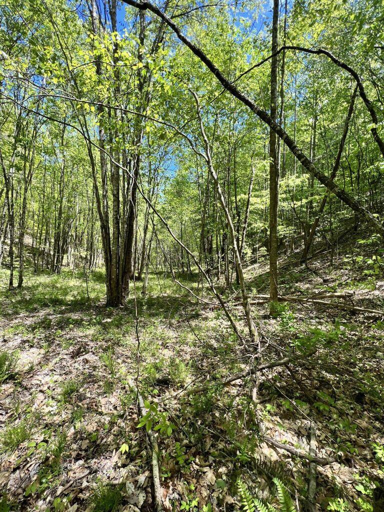 9999 Proffitt Road Property Photo 17