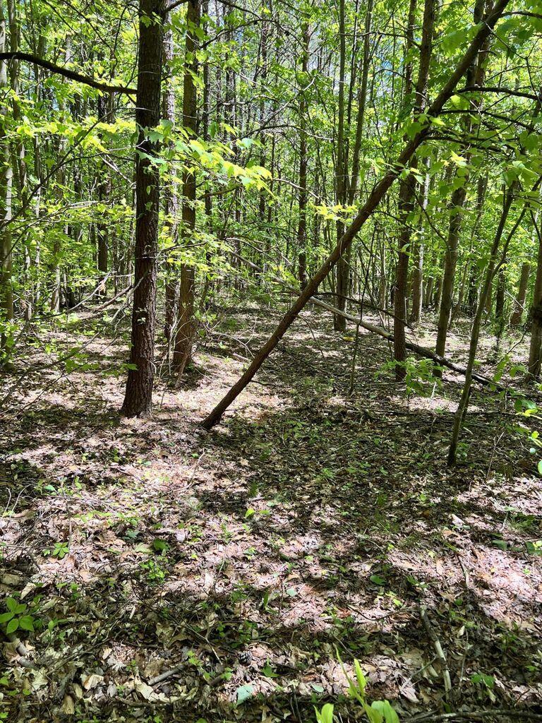 9999 Proffitt Road Property Photo 22