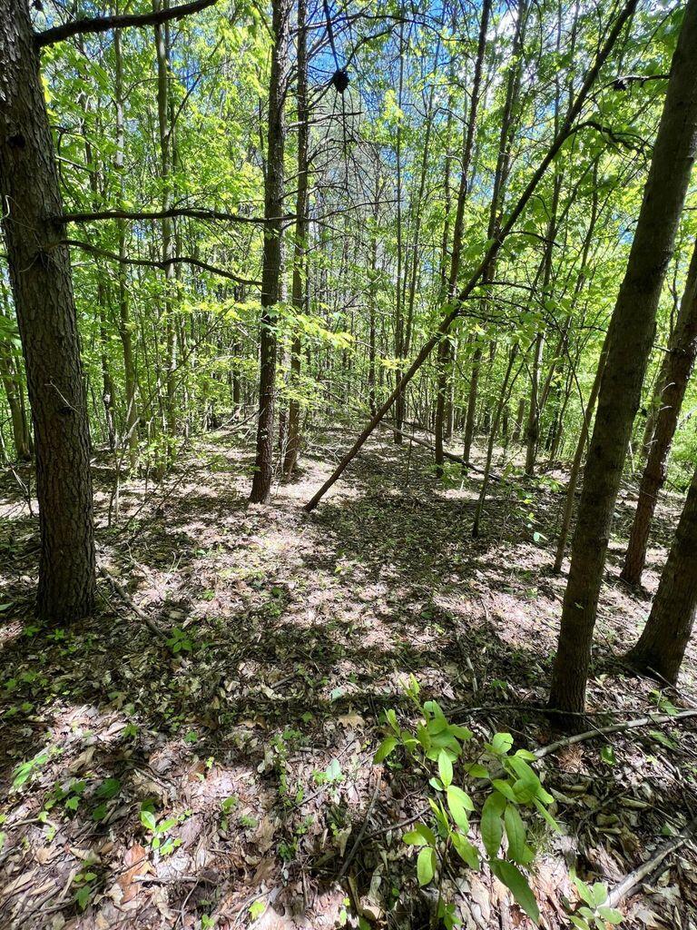 9999 Proffitt Road Property Photo 23