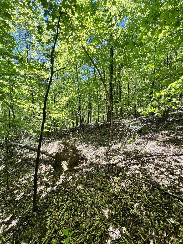 9999 Proffitt Road Property Photo 24