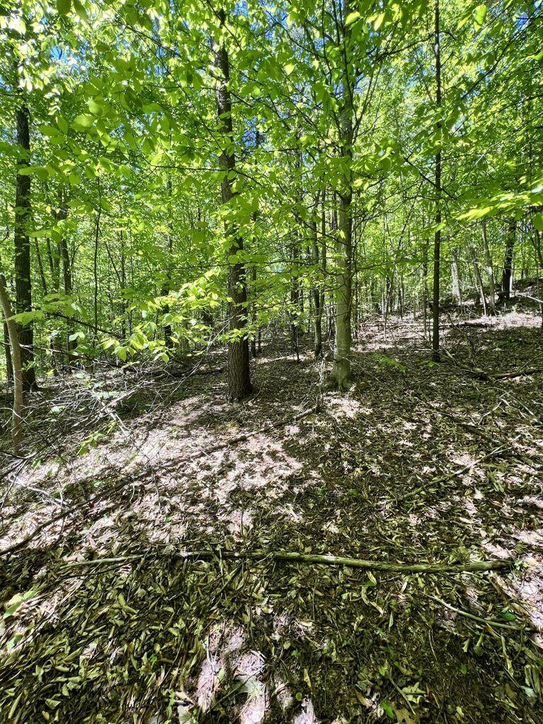 9999 Proffitt Road Property Photo 25