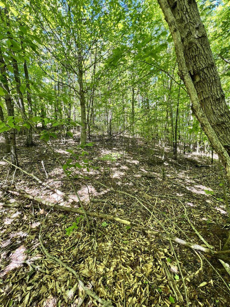 9999 Proffitt Road Property Photo 26