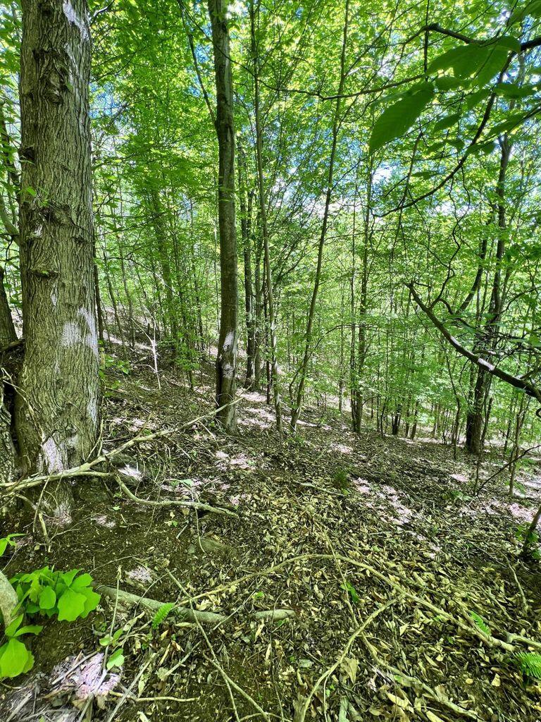 9999 Proffitt Road Property Photo 27
