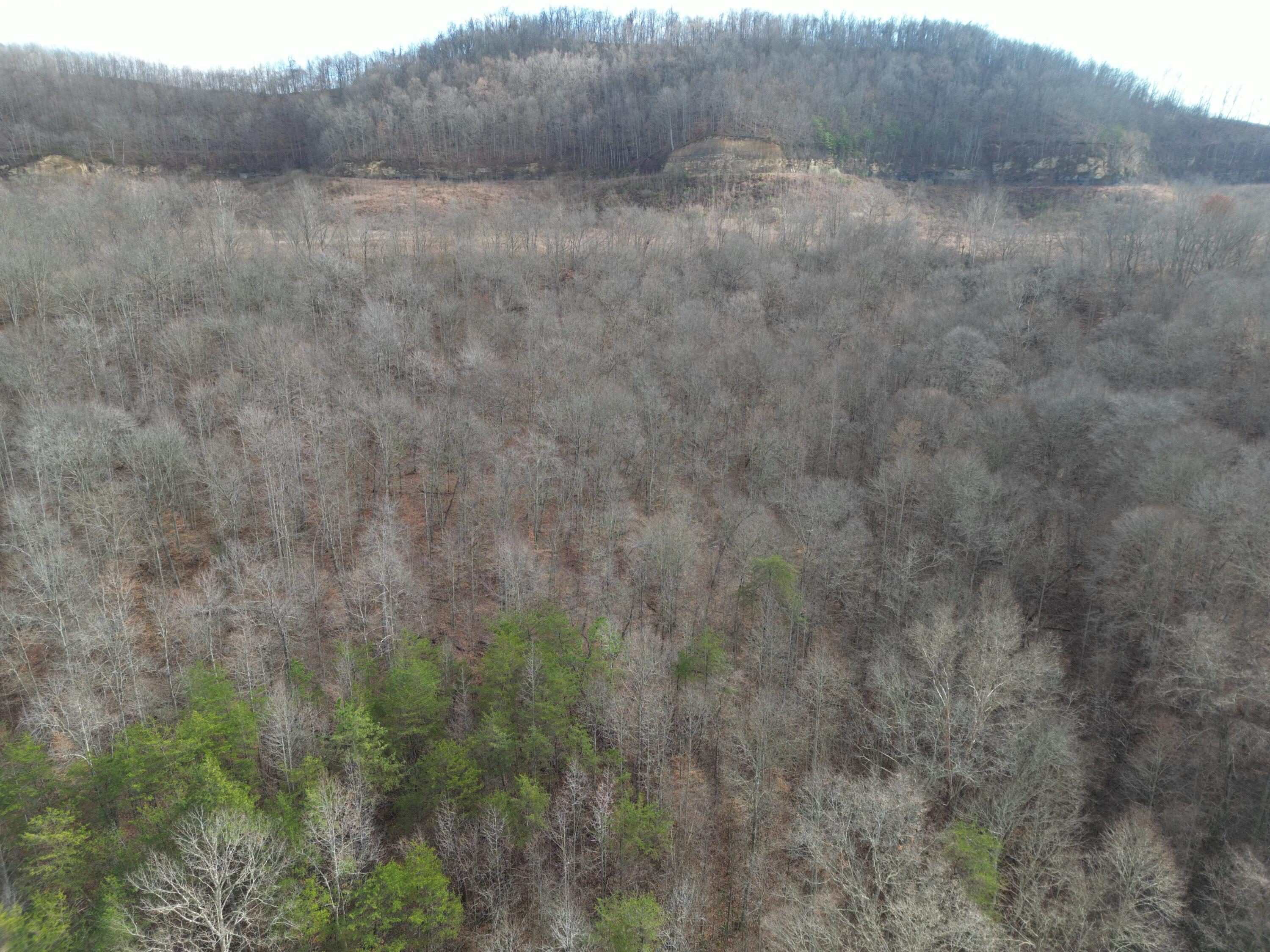 7568 Highway 26 Property Photo 6