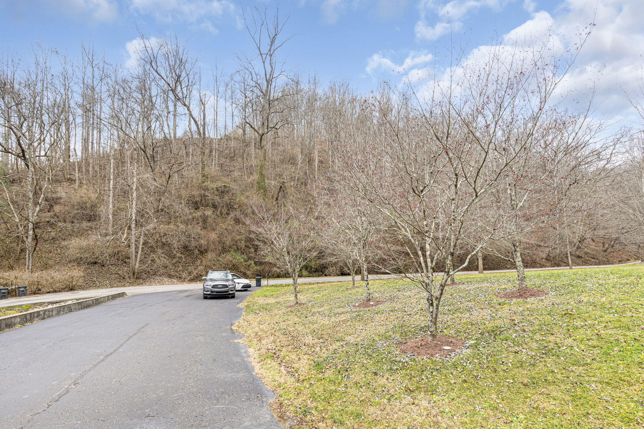 276 Brandy Keg Estates Property Photo 18