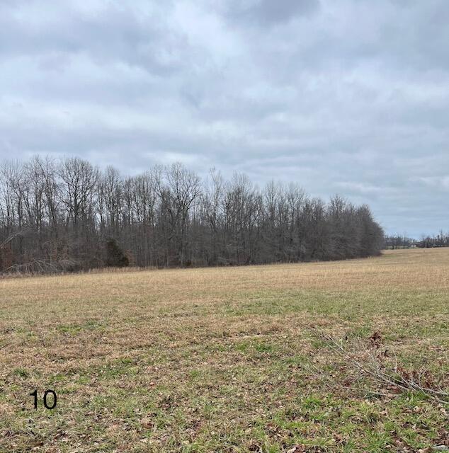 Tract 10 Dug Hill Road Property Photo 1