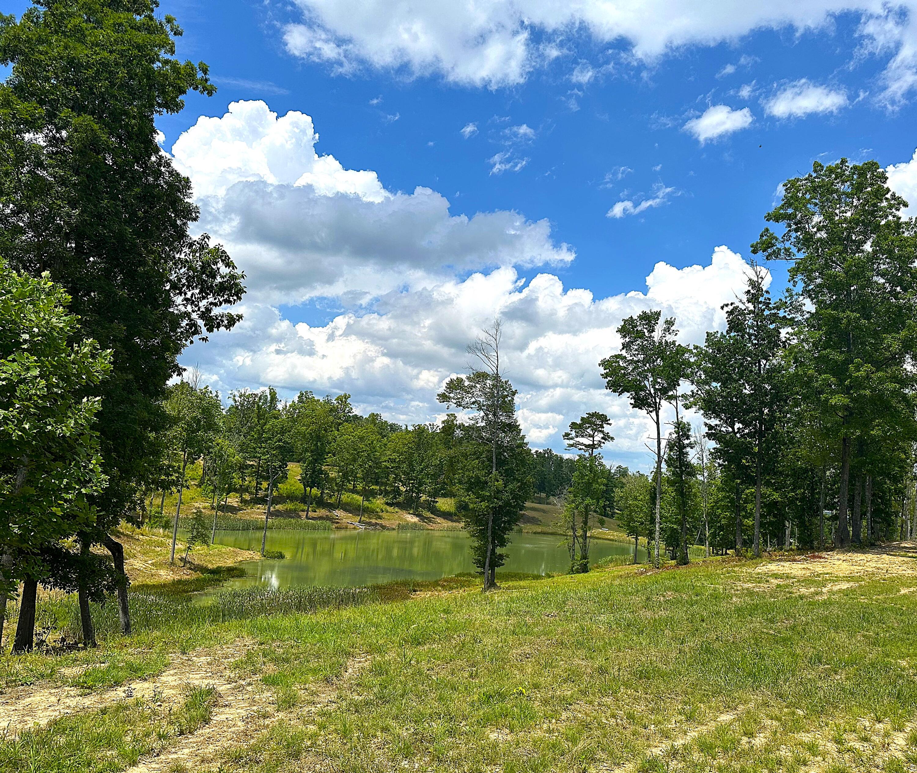 Lot 83 Lakewood Subdivision Property Photo 8