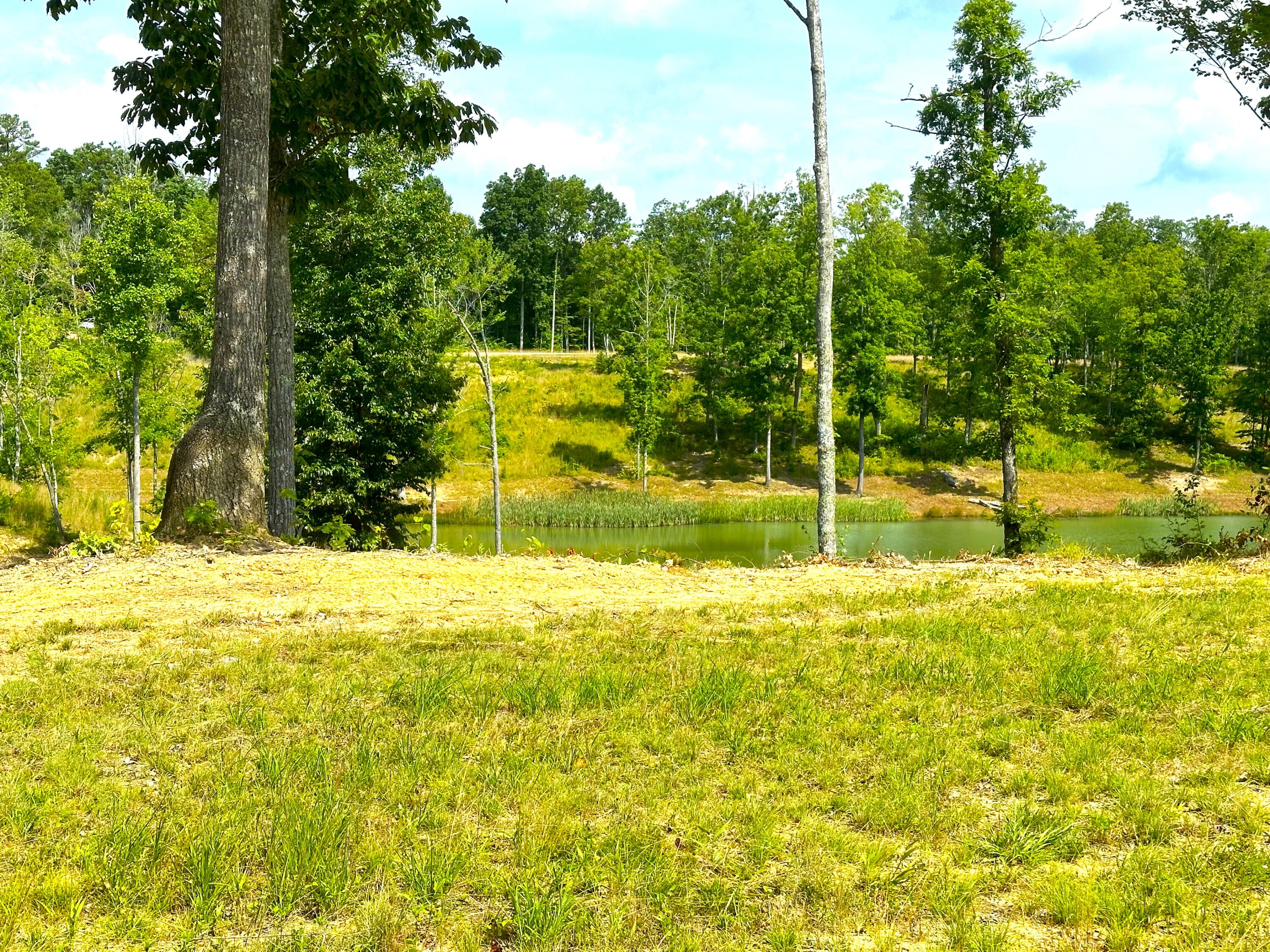 Lot 83 Lakewood Subdivision Property Photo 11