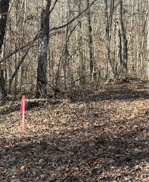 1748 Denny Ridge Road Property Photo 5