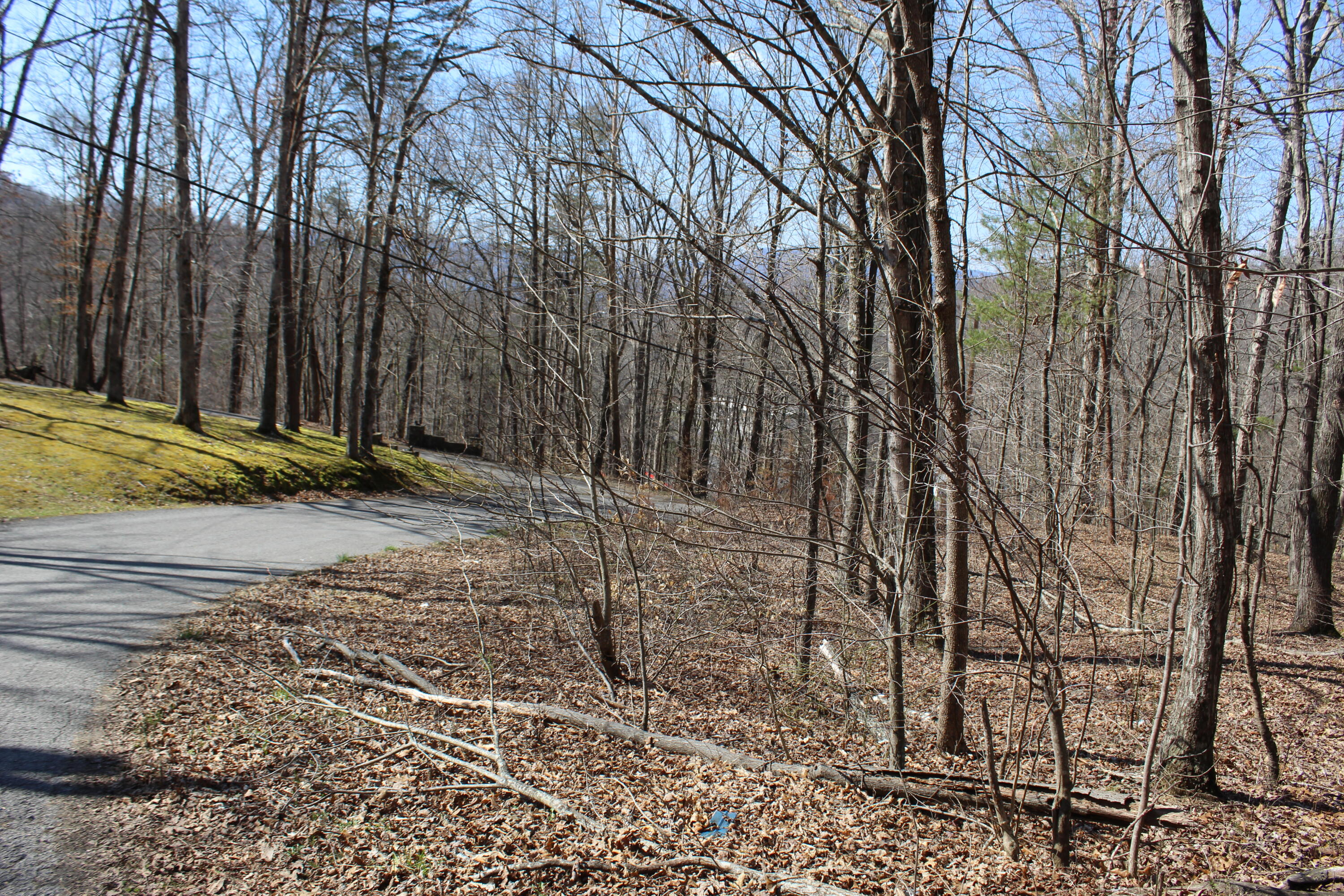 9999 Sams Mountain Road Property Photo 1