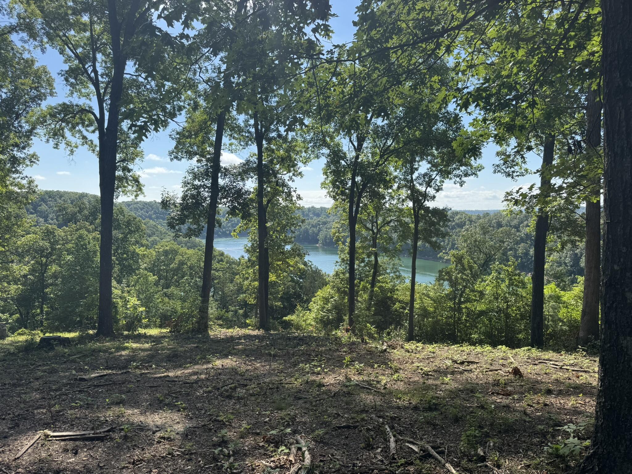 000 Litton Drive Property Photo 1