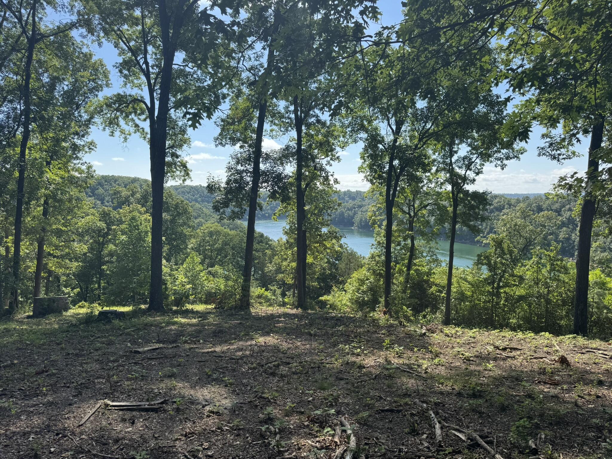 000 Litton Drive Property Photo 2