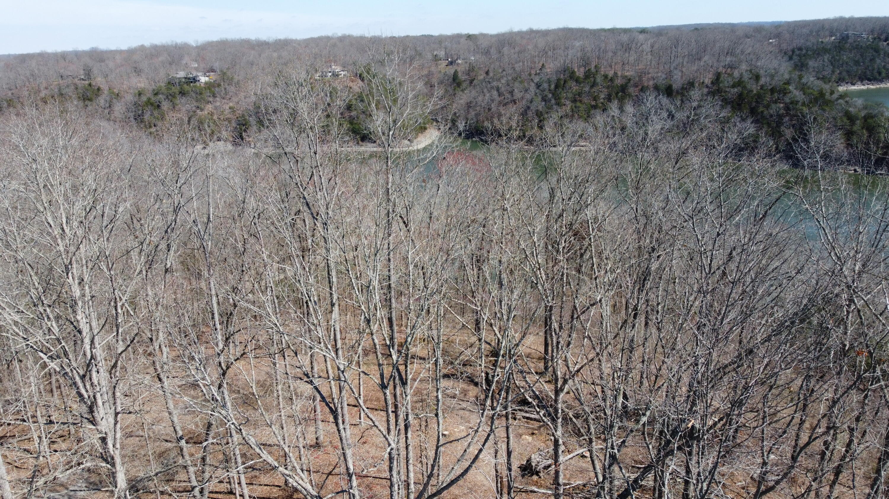 000 Litton Drive Property Photo 15