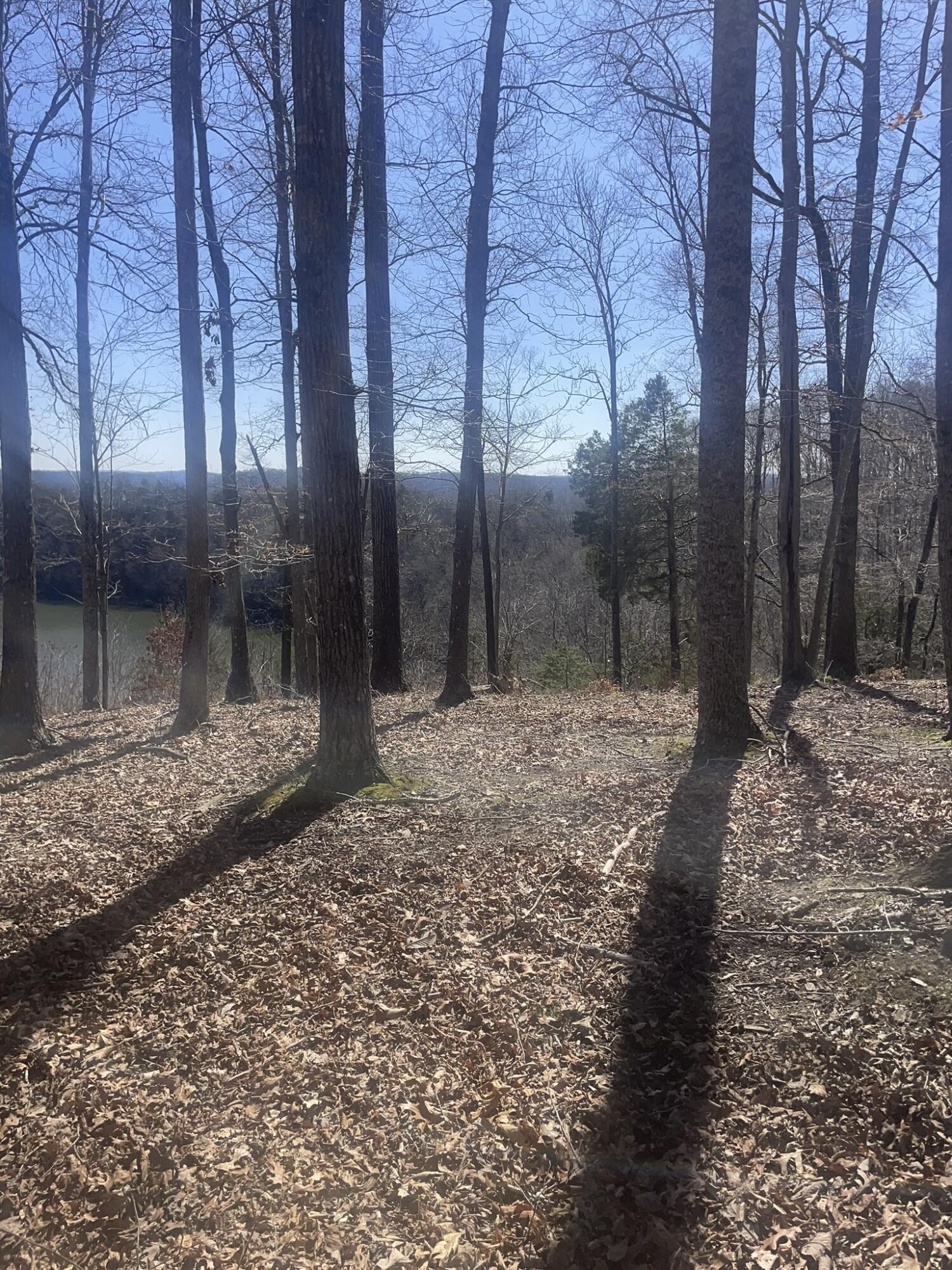 000 Litton Drive Property Photo 24