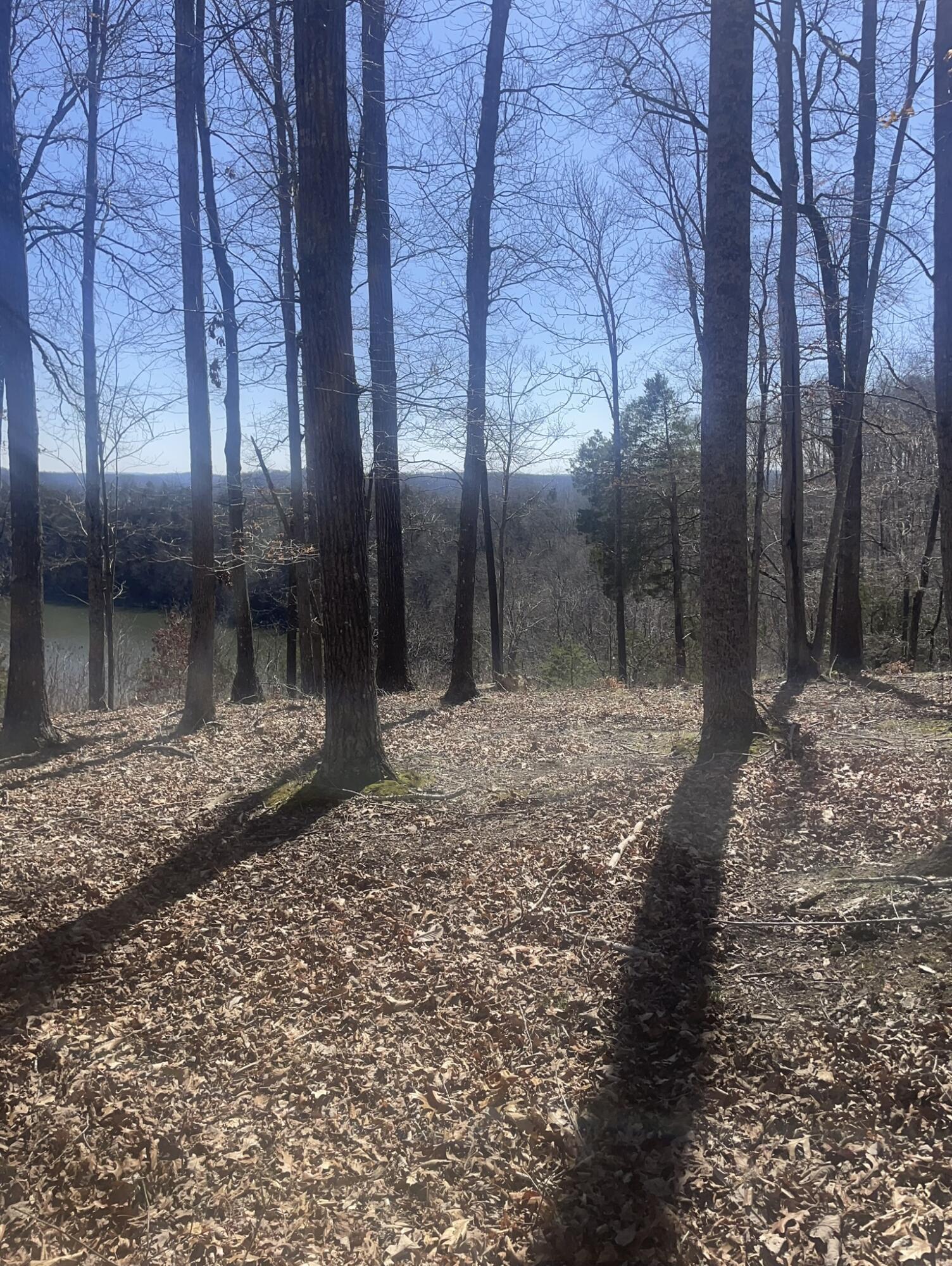 000 Litton Drive Property Photo 27