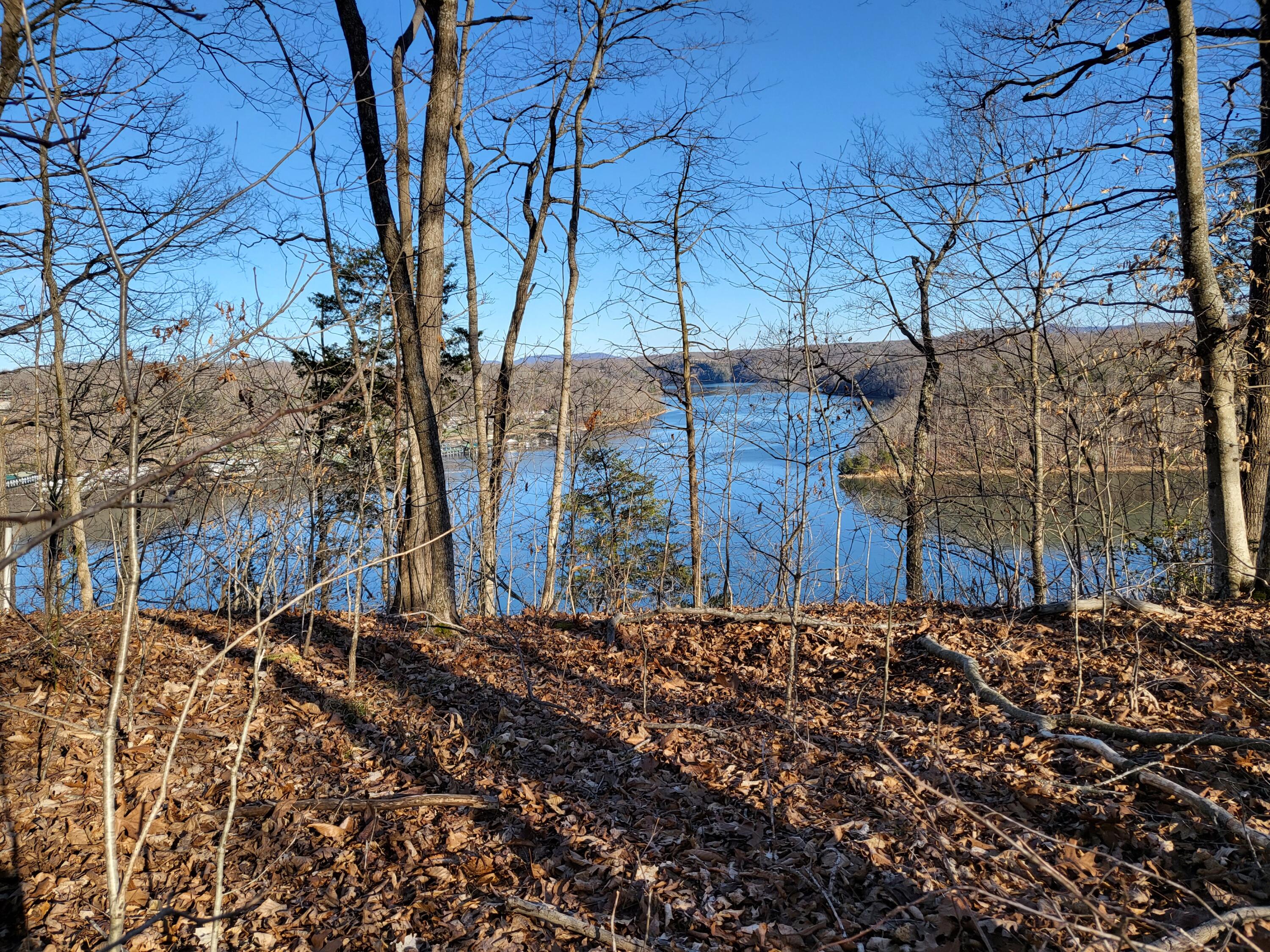 620 Griffin Trail Property Photo 2
