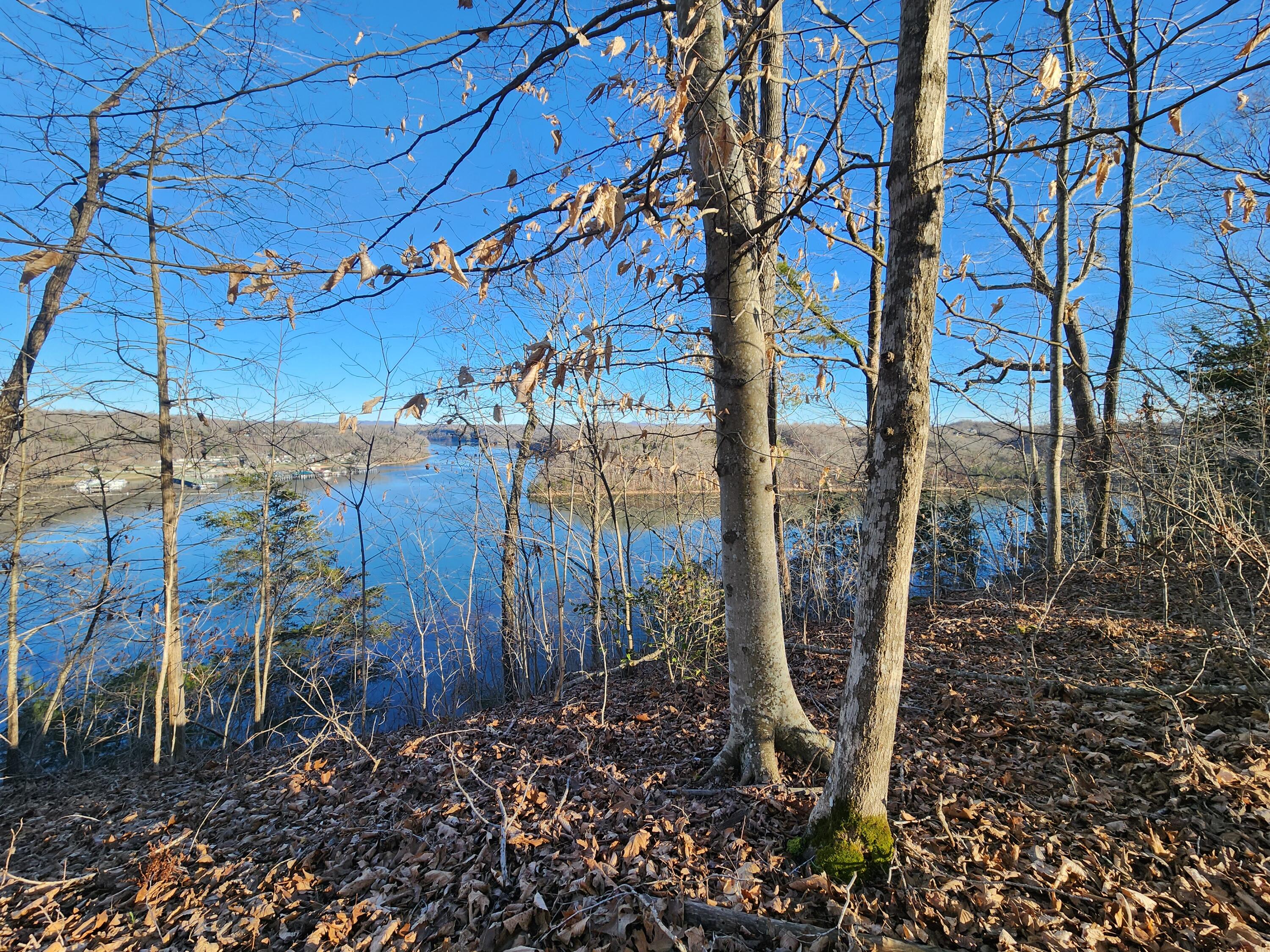 620 Griffin Trail Property Photo 8