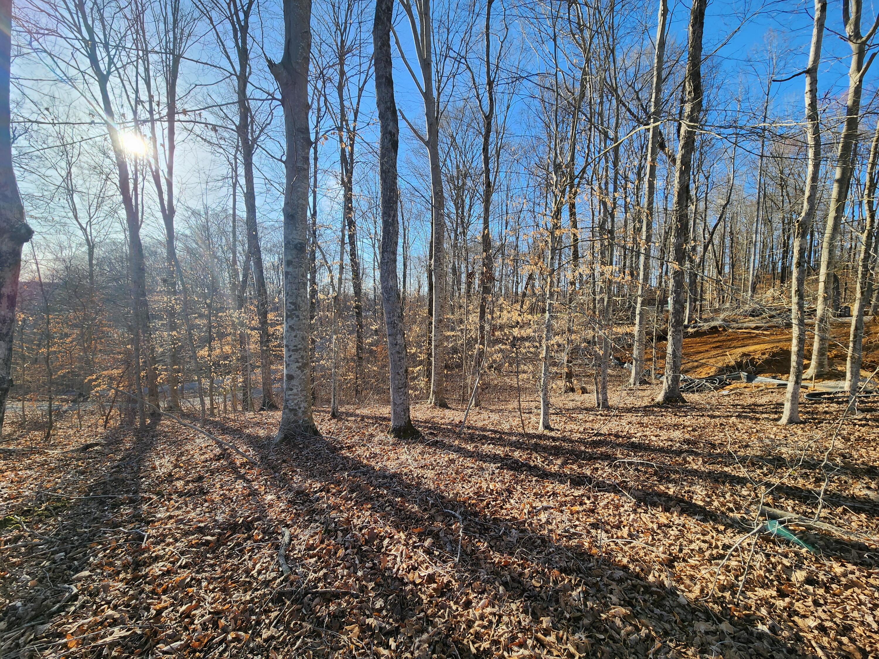 620 Griffin Trail Property Photo 10