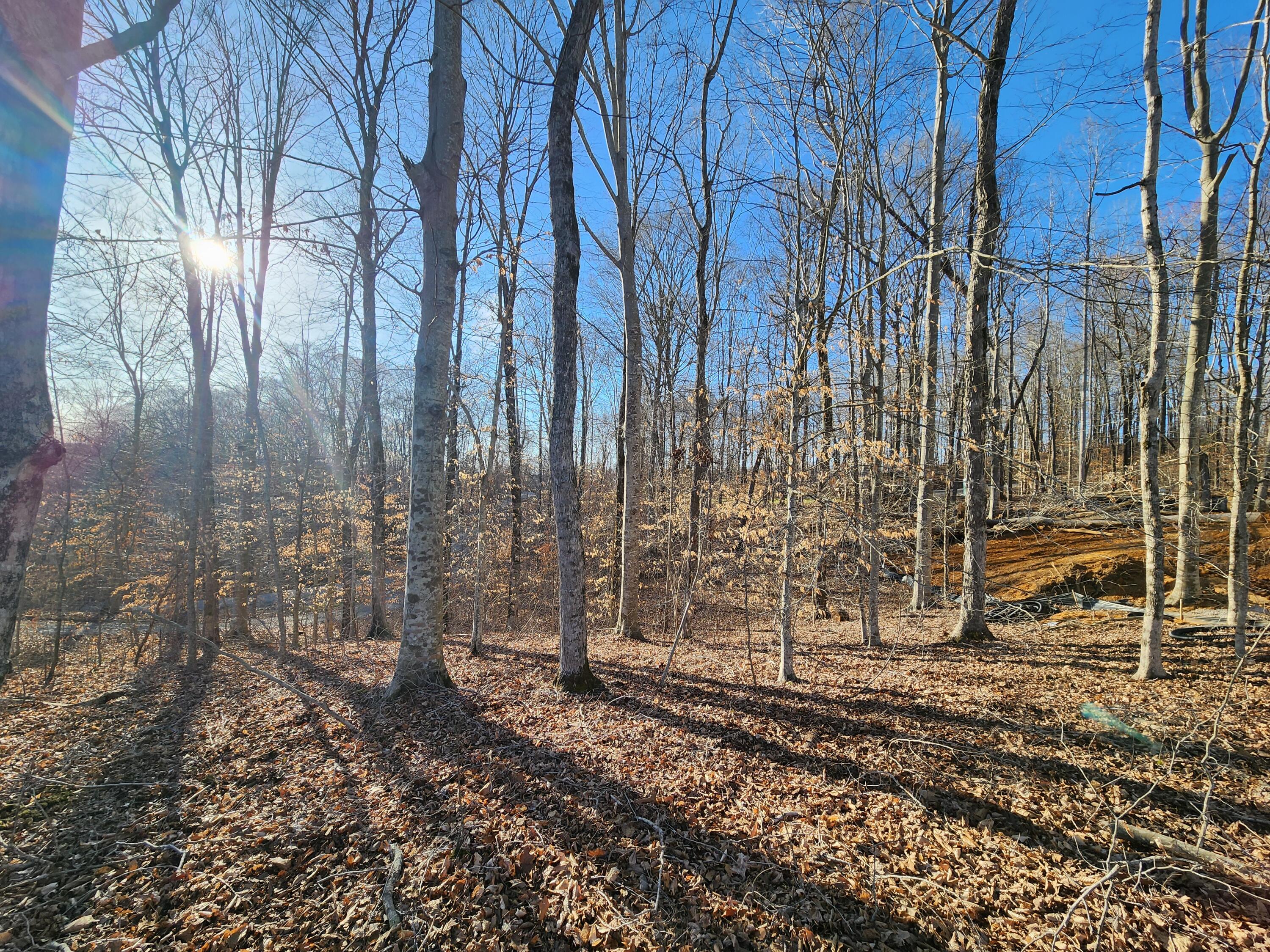 620 Griffin Trail Property Photo 11