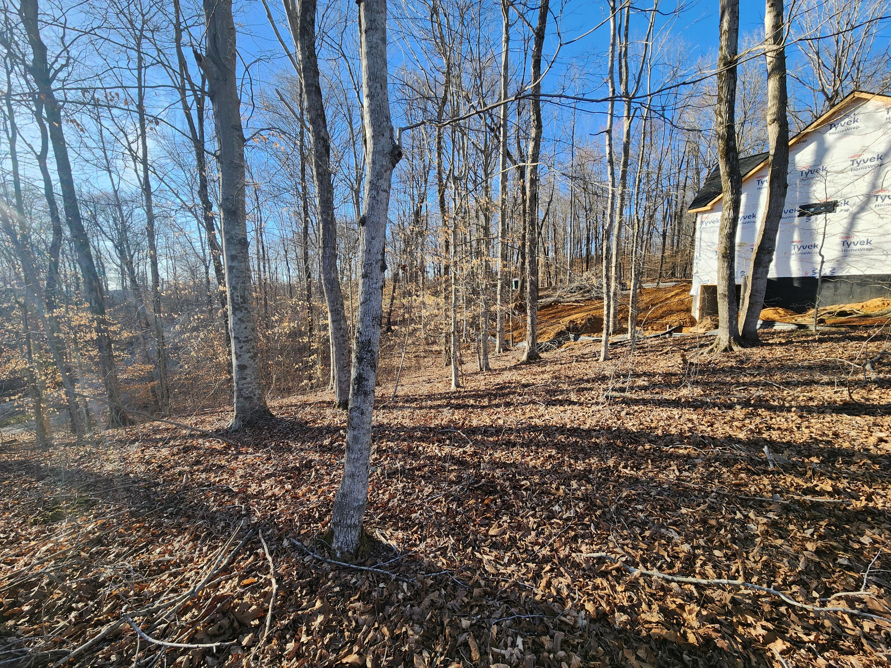 620 Griffin Trail Property Photo 14