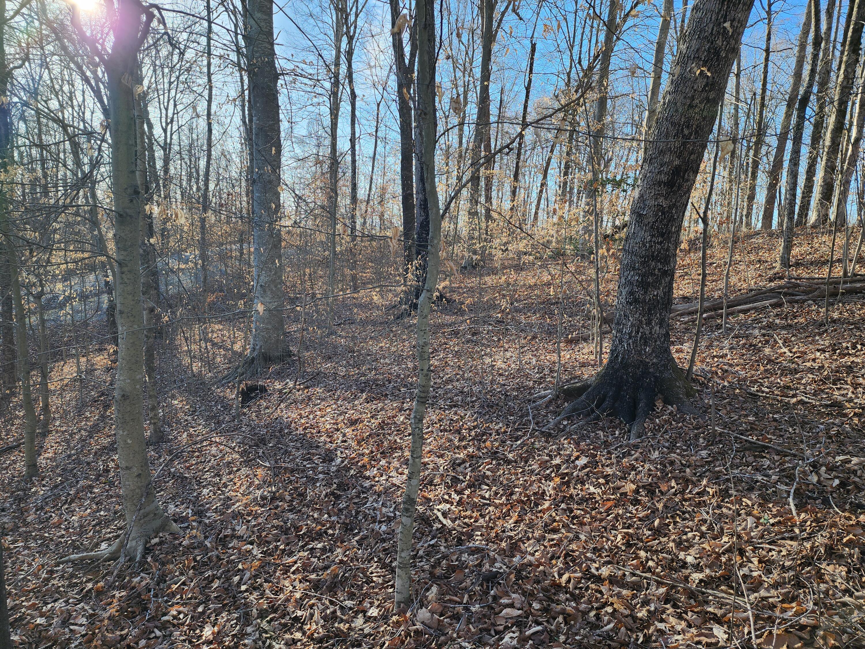620 Griffin Trail Property Photo 18