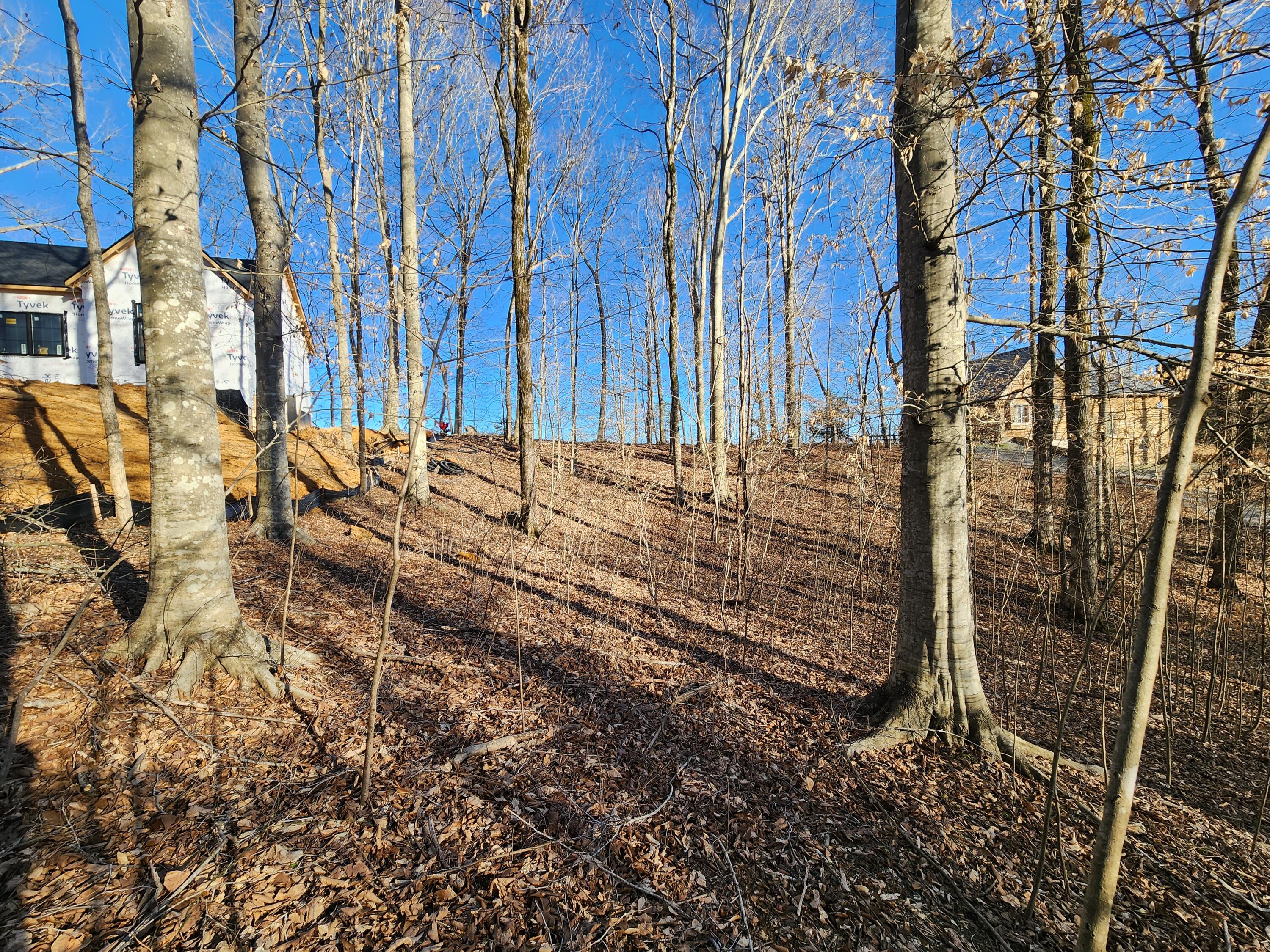 620 Griffin Trail Property Photo 19