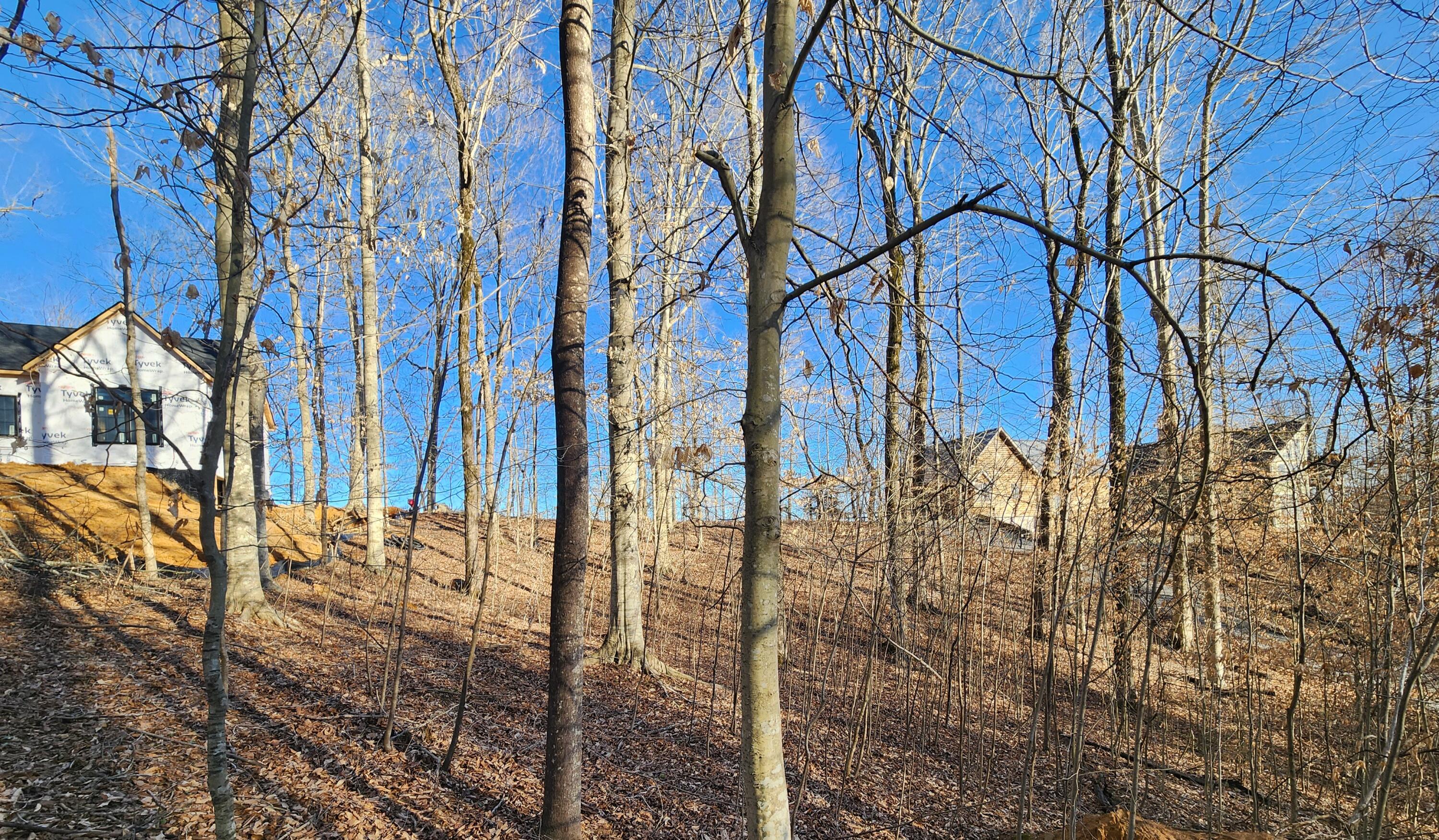 620 Griffin Trail Property Photo 20