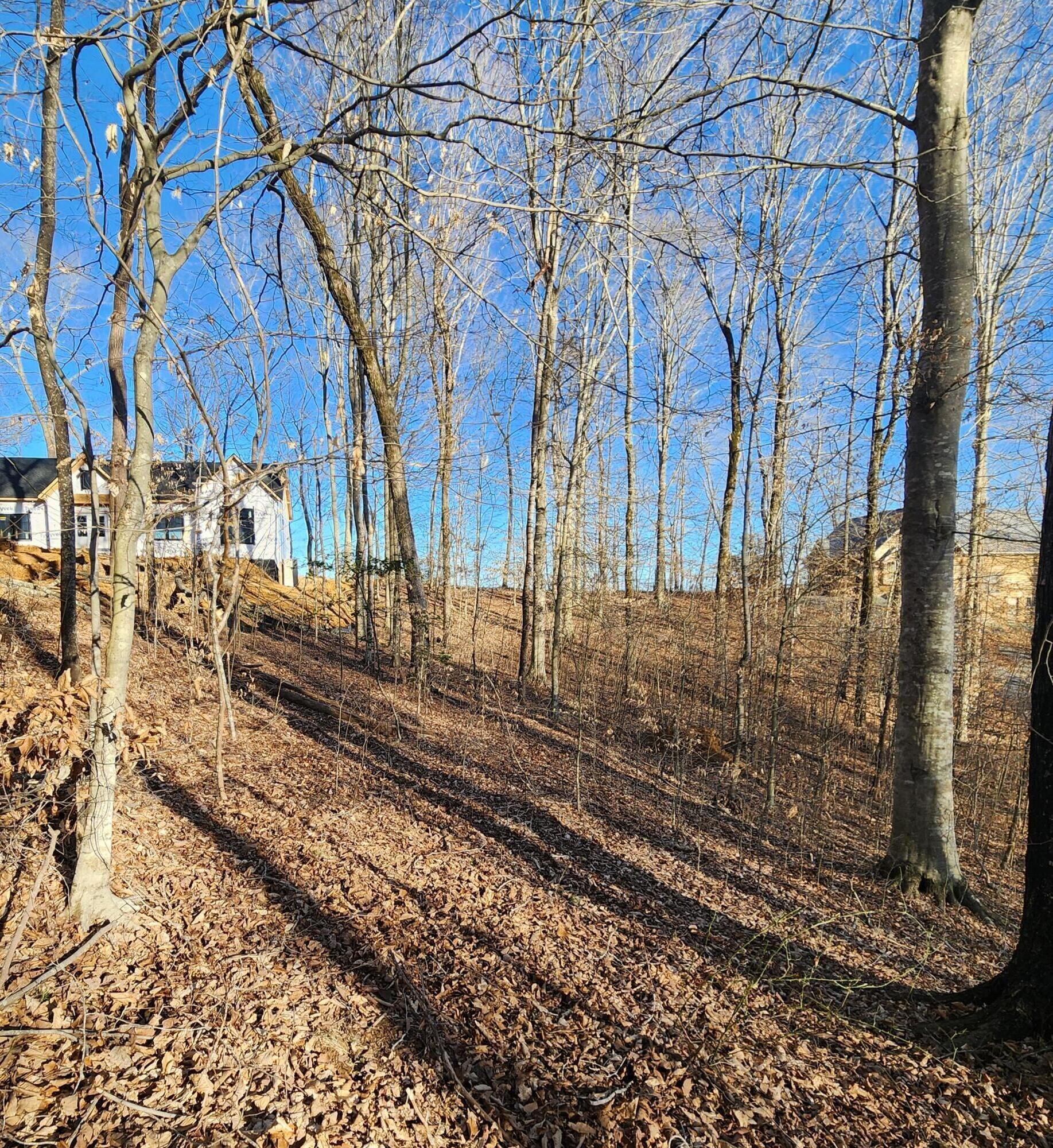 620 Griffin Trail Property Photo 22